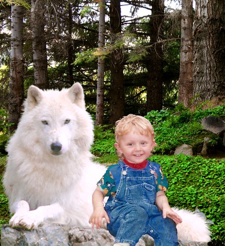 Torsten and the wolf
