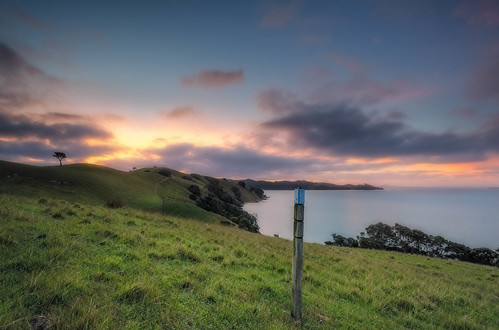 longexposure sunset sea newzealand grass clouds nikon wideangle nopeople auckland nz northisland clevedon tranquilscene colourimage leefilters 1024mm d7000 lee12gndsoft