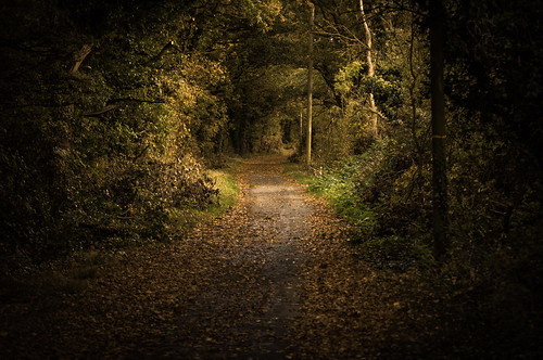 ©leehouston green grifos england burtonwood trees road