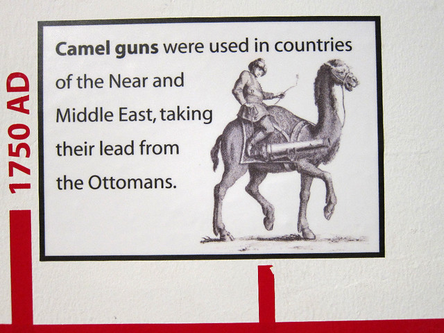 Kamel kanon / Camel gun