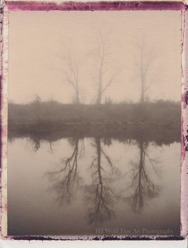 trees water fog landscape delaware polaroid250 polaroichocolate