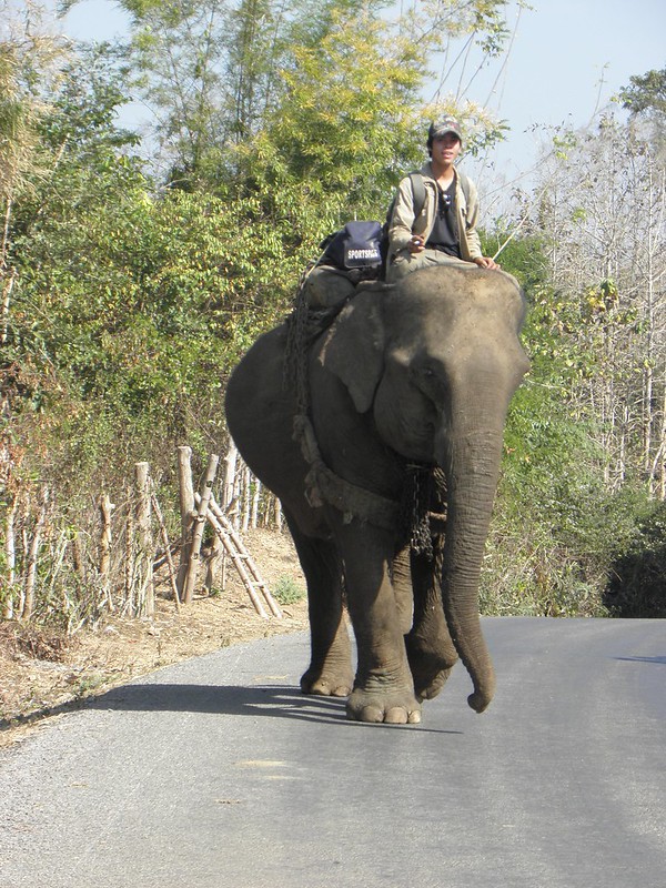 Local transport in Laos