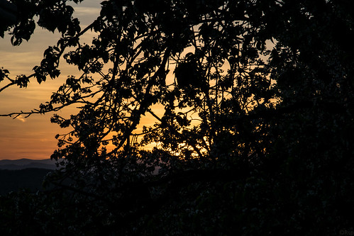180421_Schillingsdorf_008 by Rainer Spath, Sonnenuntergang in Schillingsdorf
sunset in Schillingsdorf
21. 04. 2018österreich austria autriche