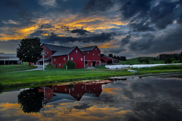 Sunset over the red barns