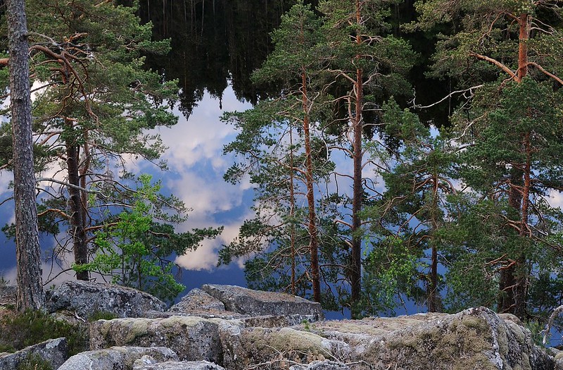 20180523-009F | oberhalb des Stora Trehörningen im Tiveden-Nationalpark. Västergötland - Närke / Schweden, 23.05.2018