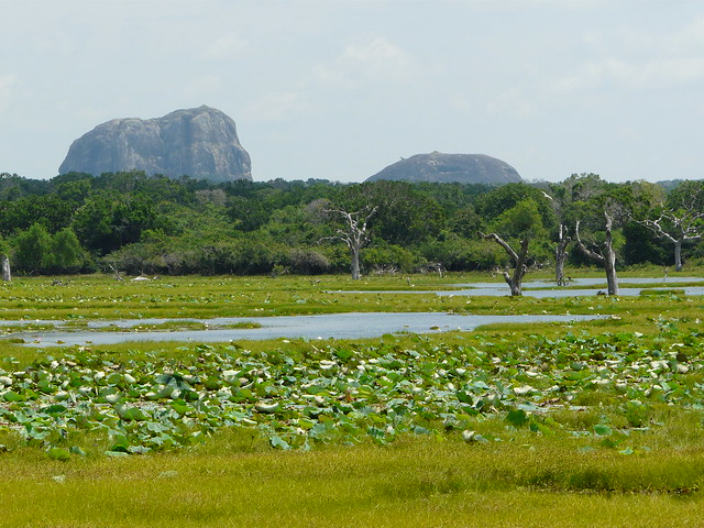 Yala National Park (Sri Lanka)