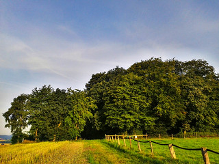 Landscape in summer, Loh bei Gesmold