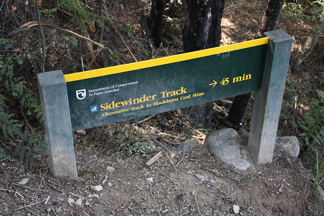Sidewinder Track at Woolshed Creek