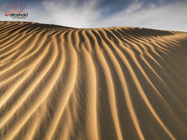 Kuwait - Alsalmi Sand Dunes
