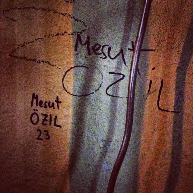 Mesut Özil-Fans Vienna