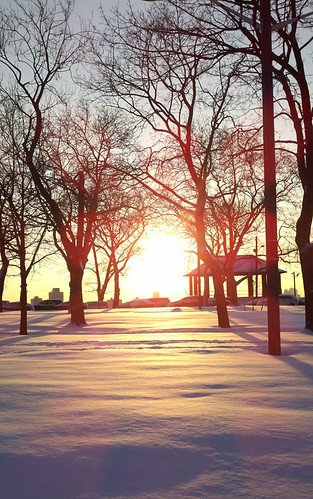 park trees winter orange white snow storm sunrise newjersey jerseycity snowstorm nj blizzard mobilephotography