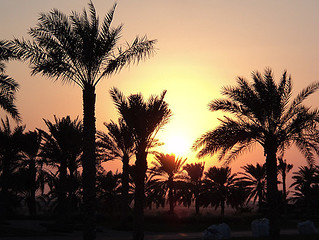 Abu Dhabi Airport Sunset
