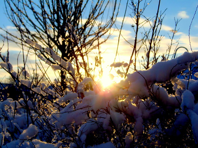 Winter Sonnenschein / Enjoy Winter Sunshine