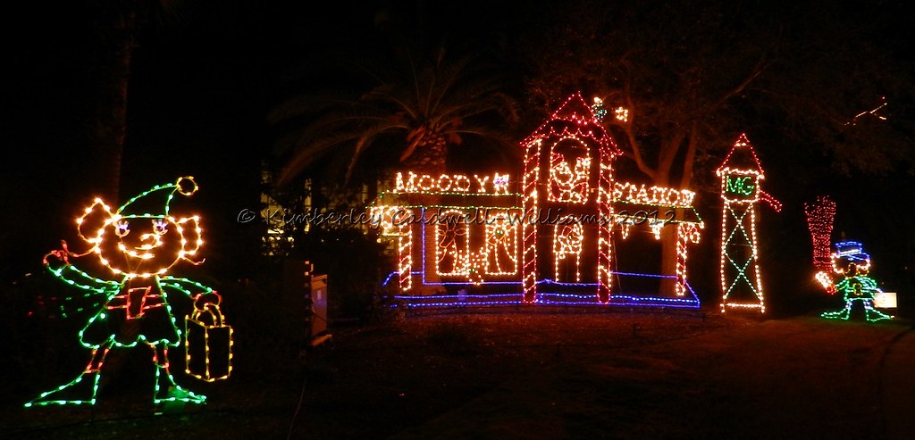Festival Of Lights At Moody Gardens Galveston Texas 106 Flickr