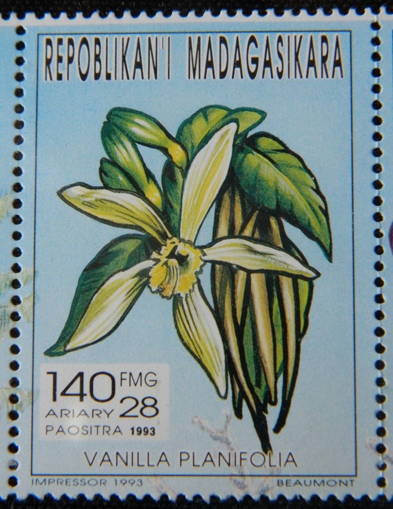 Vanilla planifolia | Orquídeas em Selos / Orchids on Stamps.… | Flickr