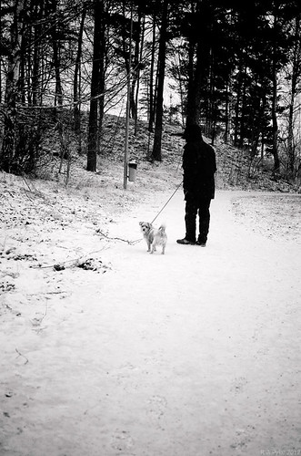 winter blackandwhite bw dog man walking person pentax path terrier k5 thelittledoglaughed sweron ldlnoir 201212044610