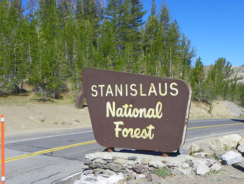Stanislaus National Forest