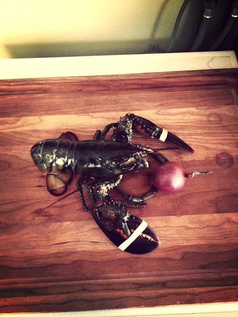 Winter Lobster