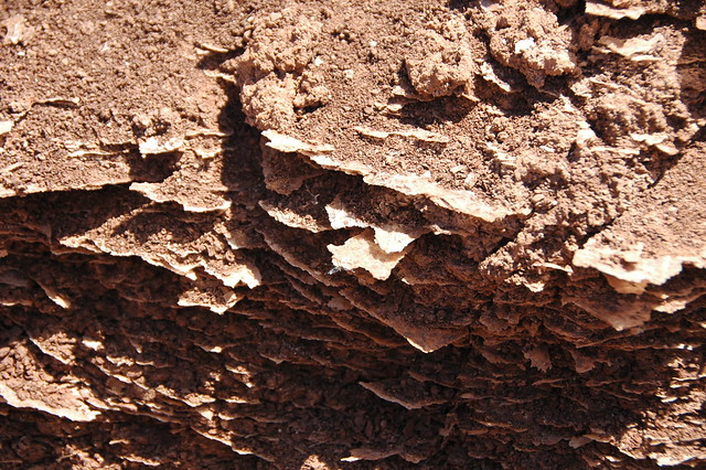 Gypsiferous red shale (thin, irregular gypsum plates in hematite-rich shale), Moenkopi Fm. (Lower Triassic), Virgin River Valley, near Zion National Park, sw Utah 2