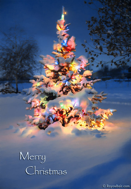 Merry Christmas to my Flickr Friends!