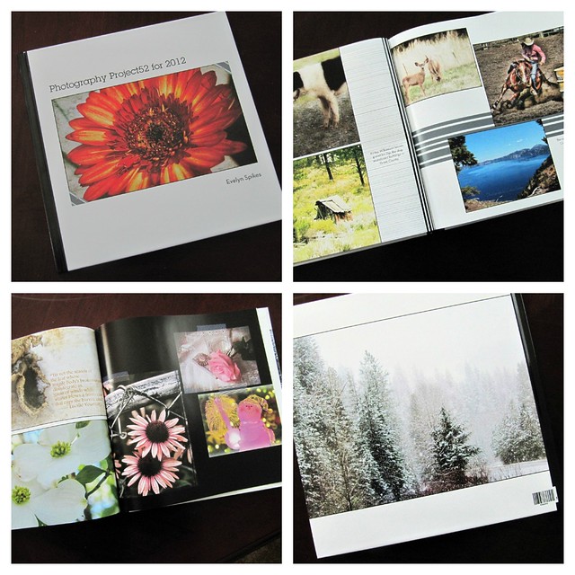 Project52 photo book Collage