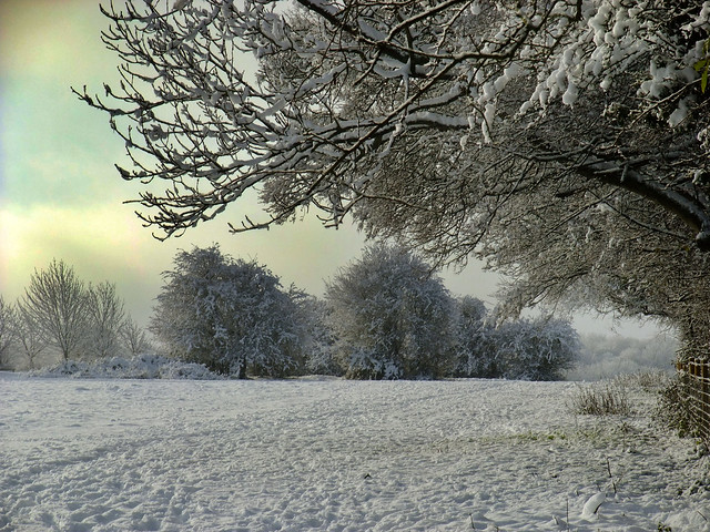 Well Trodden Snow, England, UK