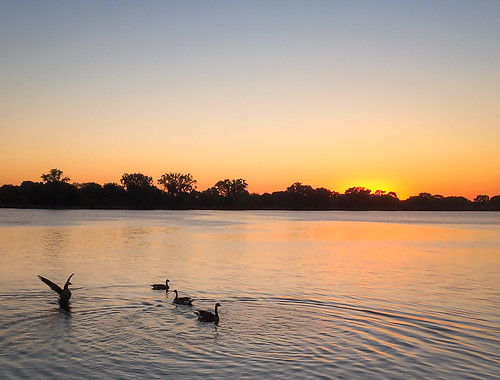 sun geese wildlife sunrise sky water nature dawn birds outdoors lake landscape morning minnesota lakewinona outdoor