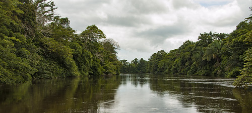 estiu riu river selva jungle aigua paisatge summer landscape cañonegro naturalesa nature costarica