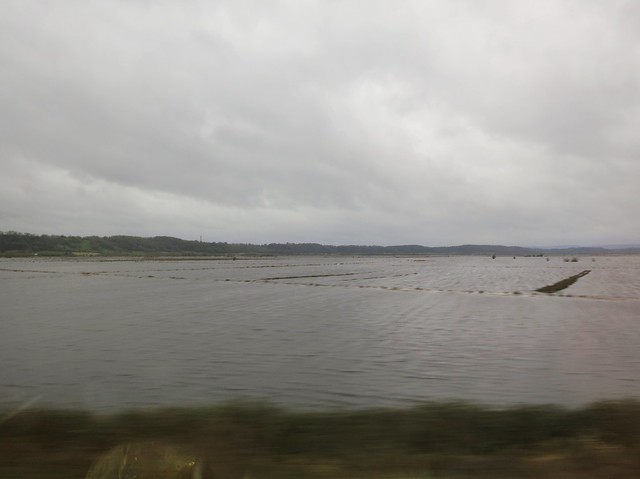 Flooded fields from the train