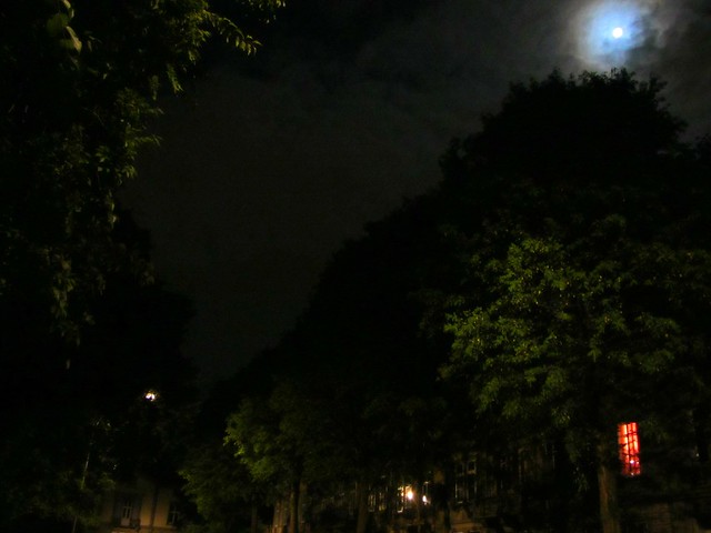 Strasbourg nocturne