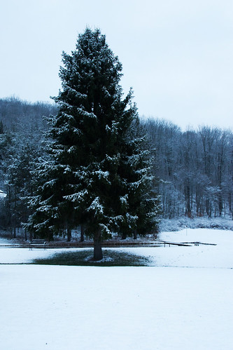 county christmas winter 6 snow storm tree nature pinetree pine forest landscape dock pond woods december pennsylvania north snowstorm potter route anderson mina euclid wonderland township winterwonderland olmstead coudersport eulalia pottercounty route6 northolmstead angela11anderson eulaliatownship angelatravels