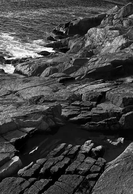 Acadia Stone and Sea Mono