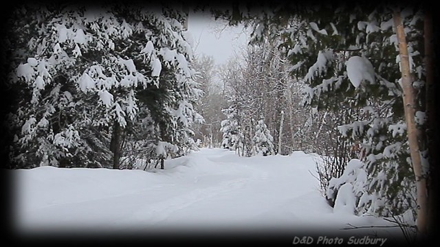 Winter Wonderland - Hiking Trail in Sudbury Ontario