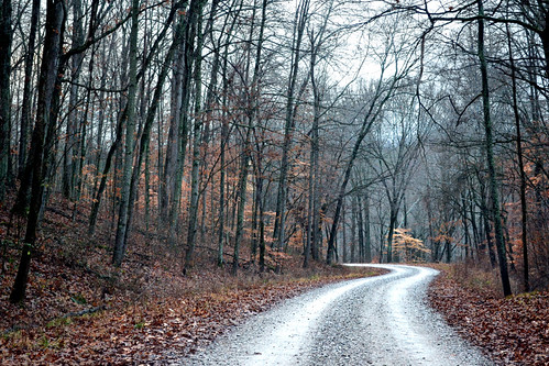Forest Road by Clint Midwestwood, There's a funny sign along Interstate 64 in southern Indiana telling you you're entering the Hoosier