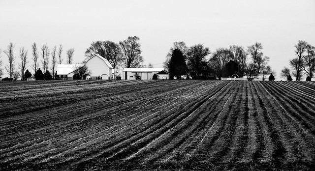 Winter Farm 101
