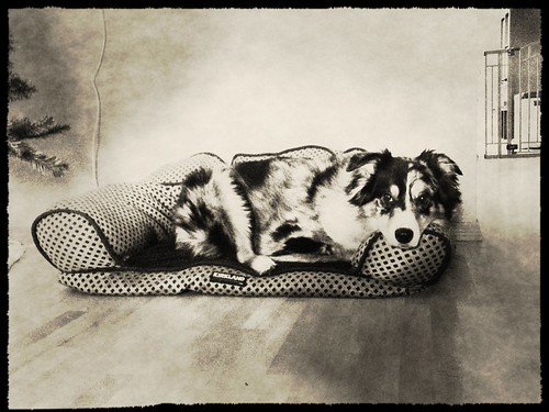 Timeout. | by ckoocheki