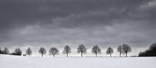 schnee trees winter sky snow field germany grey countryside himmel shadesofgrey landschaft bäume acker mettmann flickraward flickraward5 flickrawardgallery