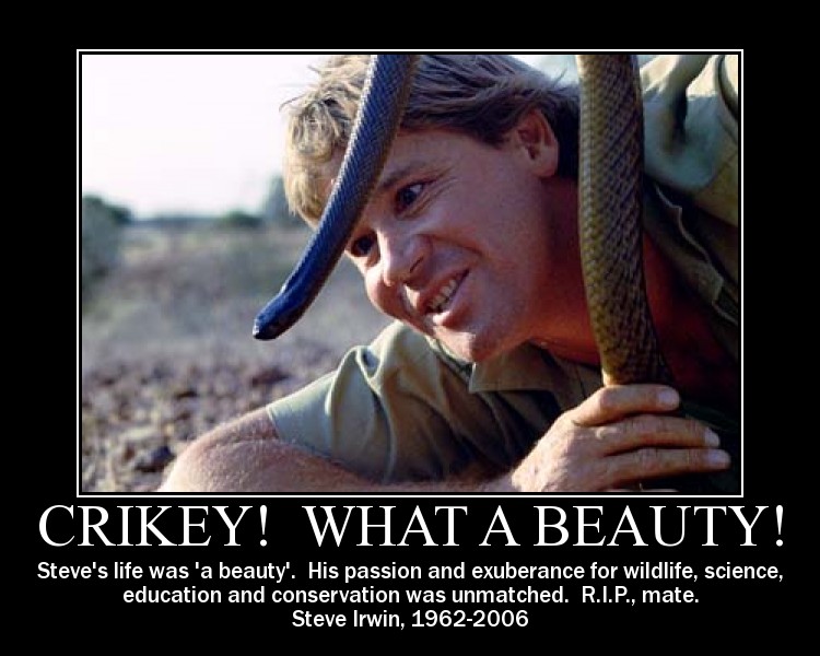 Steve Irwin's life was truly 'a beauty'.