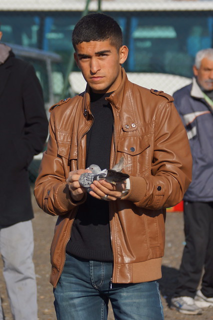 Young man at the pigeon market in Istanbul today