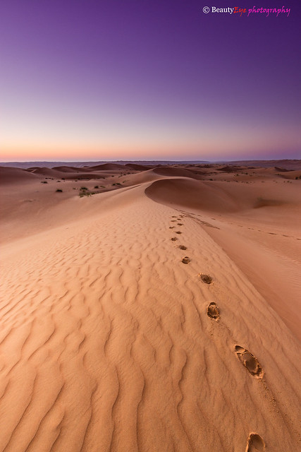 Oman - Down at Wahiba Sands