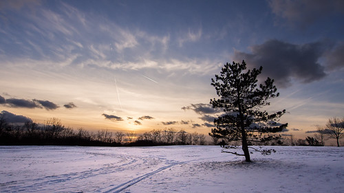 park winter sunset ohio snow tree silhouette night clouds landscape cleveland wide olympus getty zuiko omd uwa metroparks zd em5 ctowner getolympus mzuiko918mm