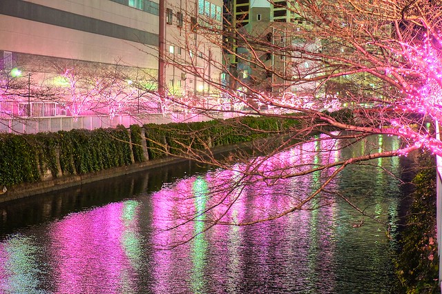 Meguro River Winter Lightup