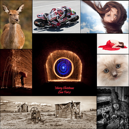 My year in photos ~ A very merry christmas to you all! | by ToriAndrewsPhotography