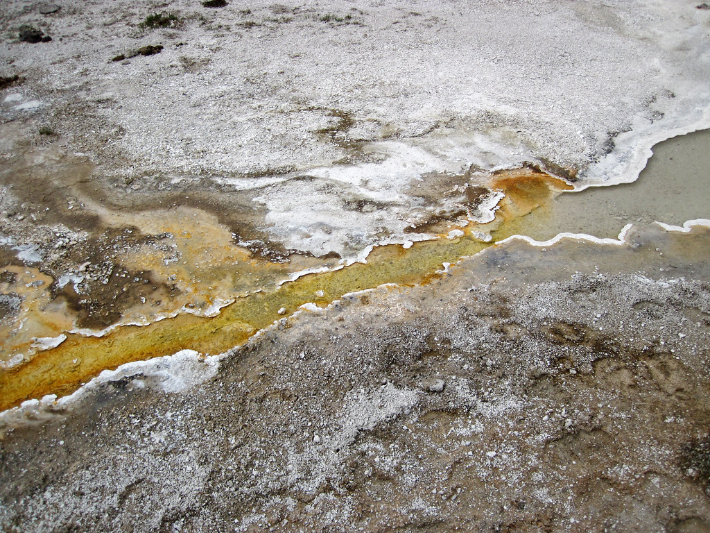 Spring Time Runoff Pendant Spring's proximal runoff channel (afternoon, 2 Jun… | Flickr