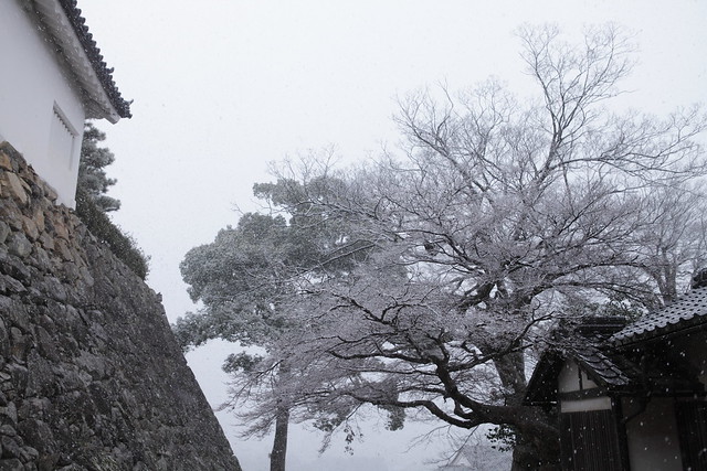 Snow falling on Hikone Castle