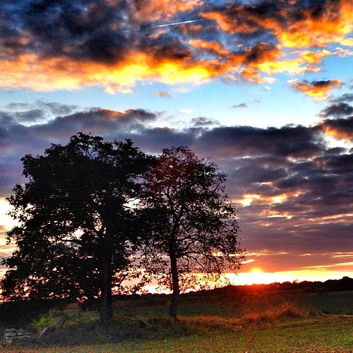 Arbres, nos vies dépendantes. Coucher de d'oeil à Cherveux. #clouds #field #sky #poitoucharentes #gmy #tree #igersfrance by Timbrado.hb, Arbres, nos vies dépendantes. Coucher de d'oeil à Cherveux. #clouds #field #sky #poitoucharentes #gm