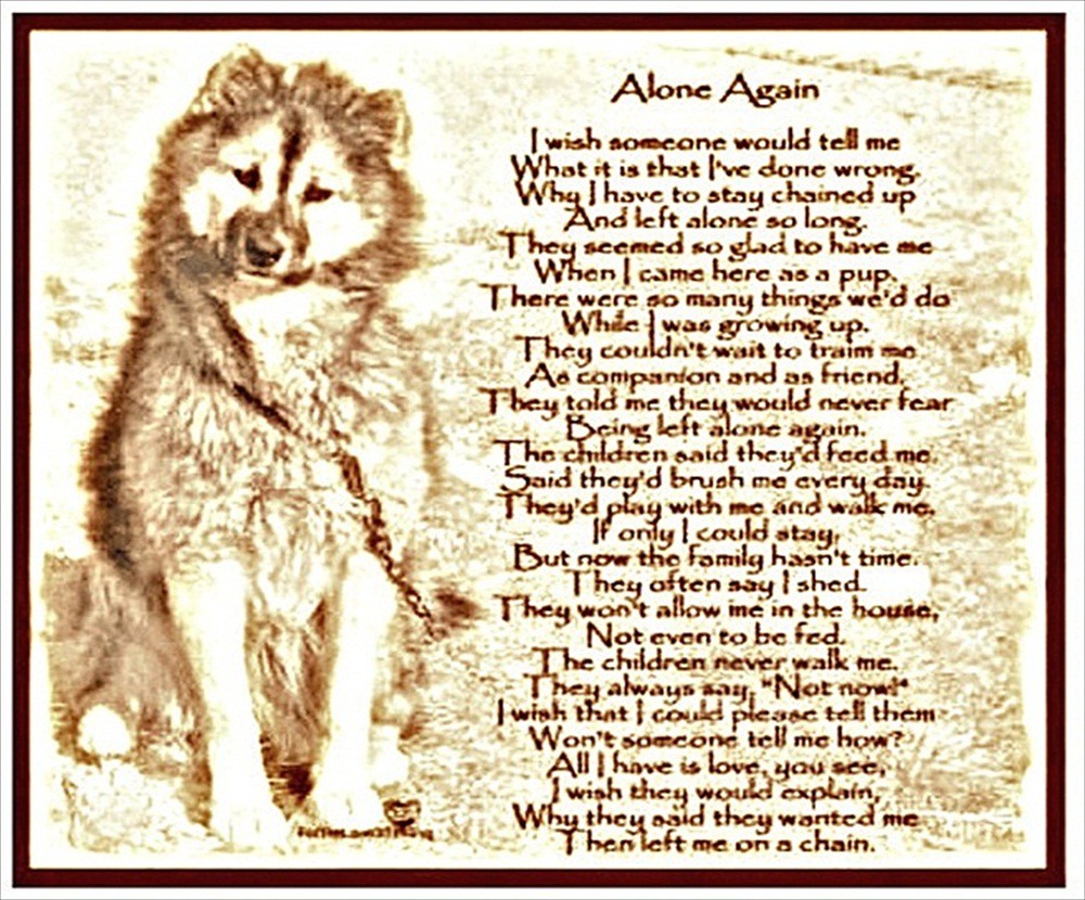 Alone Again Dog Poem | No explanation necessary. | THE Halloween Queen |  Flickr