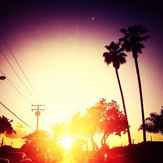 #california #sunset