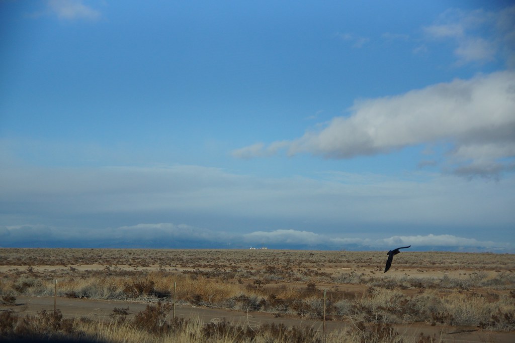 Lake Holloman Loop