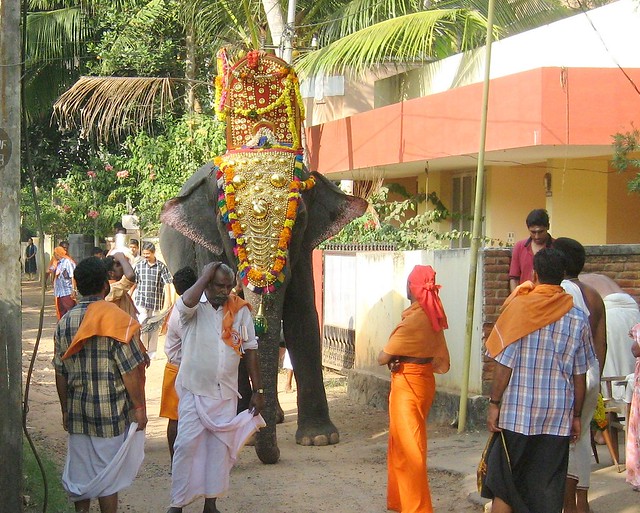 A caparisoned elephant carrying the idol of Lord Ayyappa
